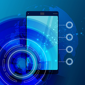 toll free provisioning